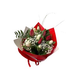 Buchet 11 lalele, 2 fire gipsofila,3 fire feriga, 5 fire Belgras, folie decor